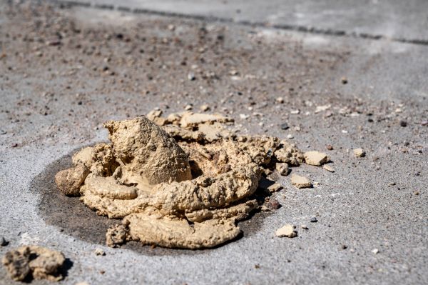 Cost of Driveway Slab Leveling in Plant City